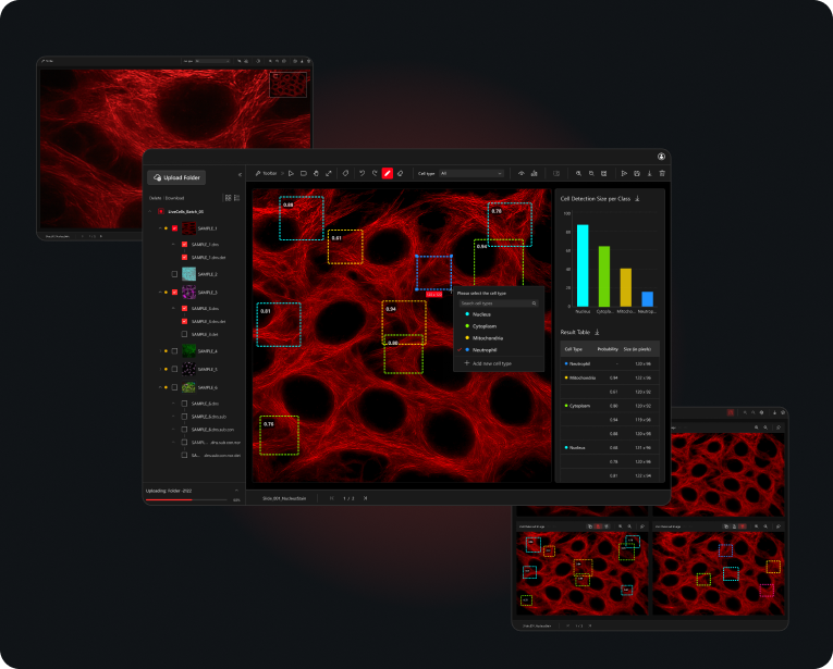 AI Cell Detection Tool project preview