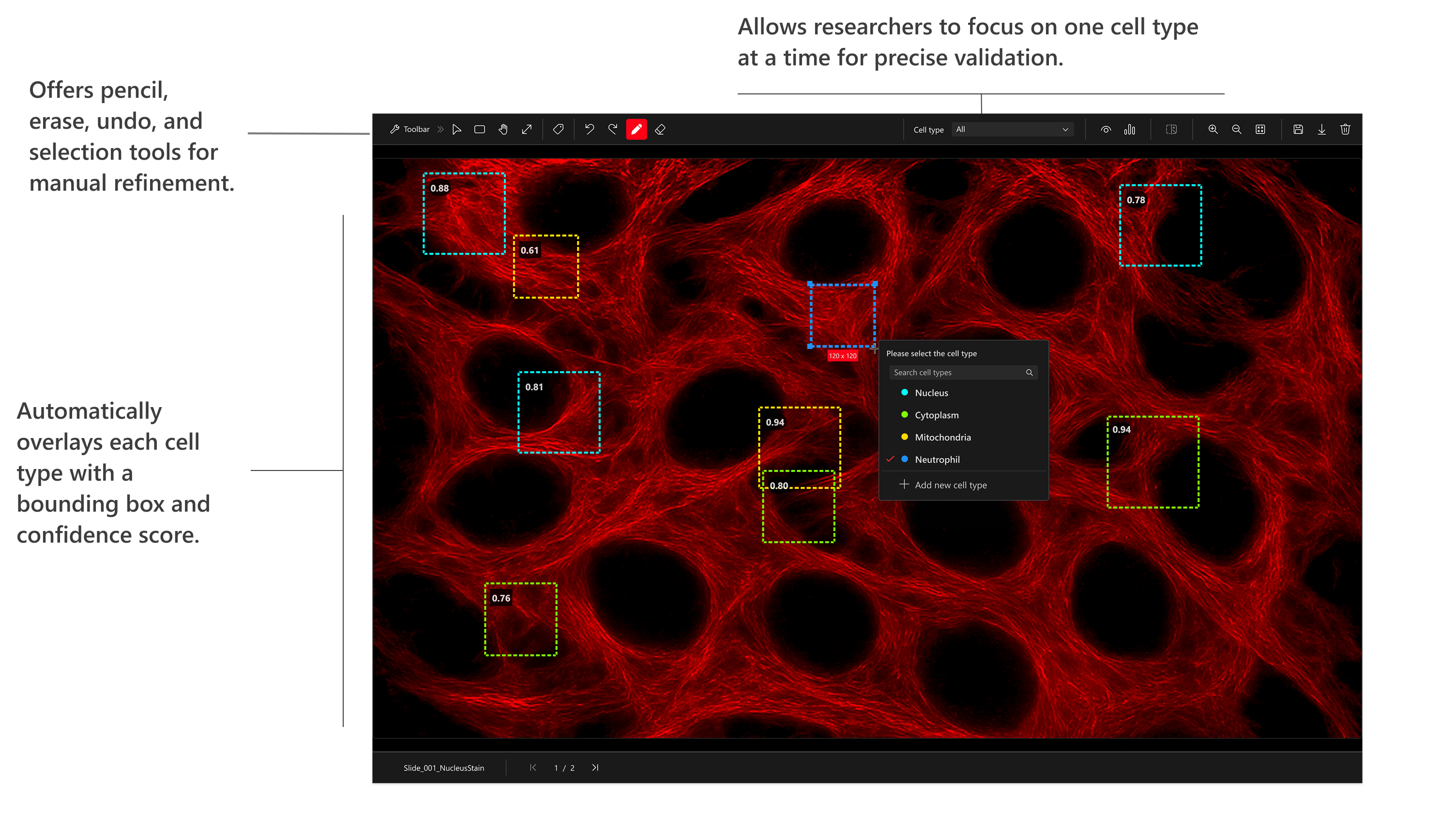 AI detection with bounding boxes and confidence labels