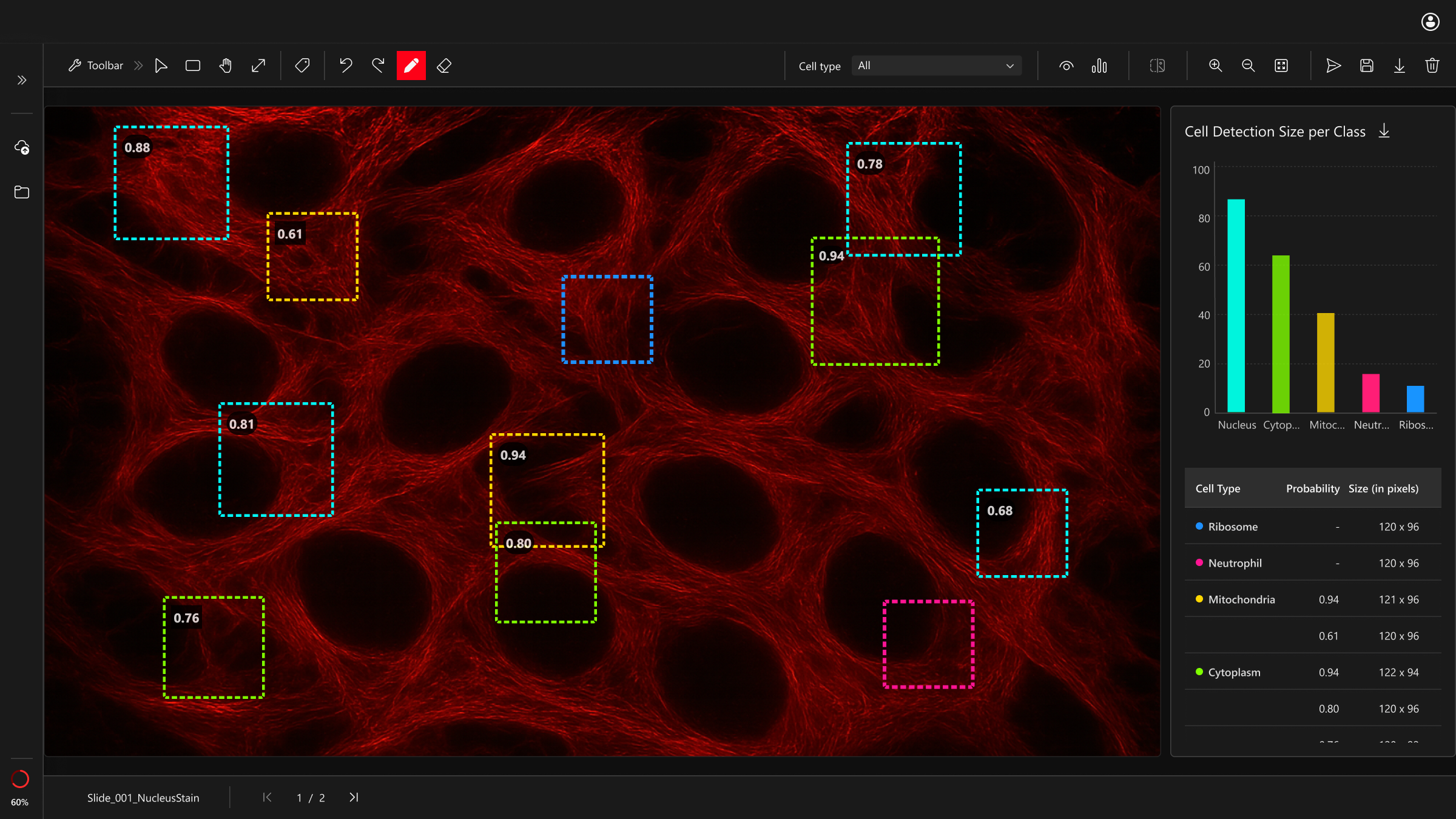 “Microscopy image with red cytoplasm background and blue nuclei. AI bounding boxes use Palette A (cyan, lime, amber, violet, orange).”
